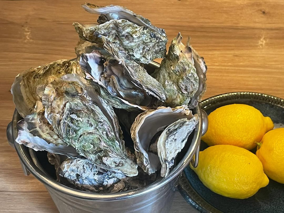 Oyster house Kaiの牡蠣のバケツ盛り